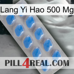 Lang Yi Hao 500 Mg 22